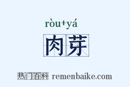 肉芽是什么意思的图片